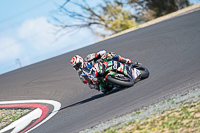 cadwell-no-limits-trackday;cadwell-park;cadwell-park-photographs;cadwell-trackday-photographs;enduro-digital-images;event-digital-images;eventdigitalimages;no-limits-trackdays;peter-wileman-photography;racing-digital-images;snetterton;snetterton-no-limits-trackday;snetterton-photographs;snetterton-trackday-photographs;trackday-digital-images;trackday-photos